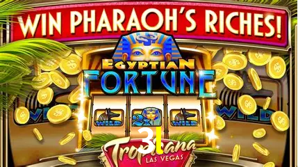 A Emoção da Loteria na 3l: Uma Chance de Mudança de Vida
